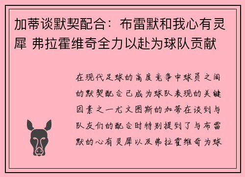 加蒂谈默契配合:布雷默和我心有灵犀 弗拉霍维奇全力以赴为球队贡献 加蒂谈默契配合:布雷默和我心有灵犀 弗拉霍维奇全力以赴为球队贡献
